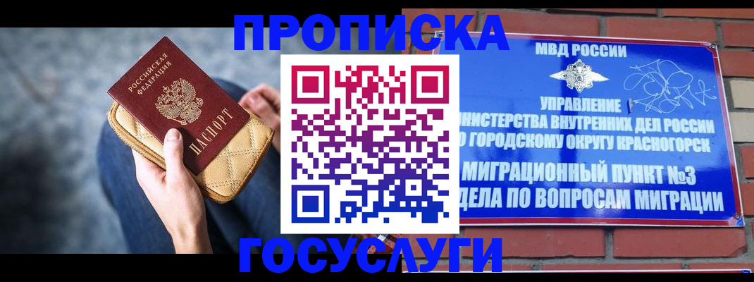 временная регистрация госуслуги в Благовещенске